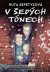 V šedých tónech (grafický román)