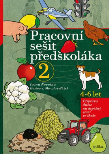 Pracovní sešit předškoláka 2 (4-6 let)