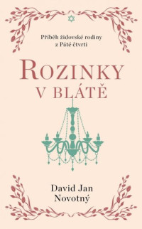 Rozinky v blátě