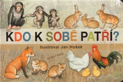 Kdo k sobě patří ? 