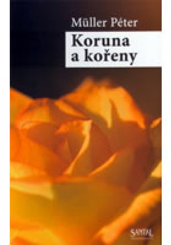 Koruna a kořeny