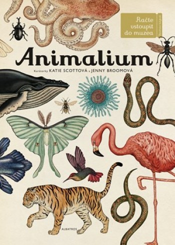 Animalium 