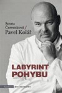 Labyrint pohybu