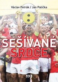 Sešívané srdce