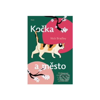 Kočka a město
