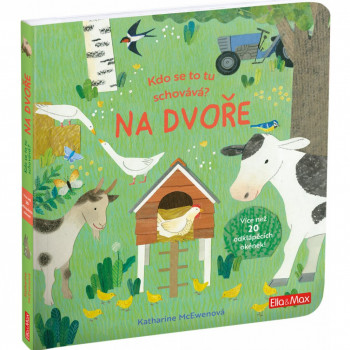 Kdo se to tu schovává? NA DVOŘE