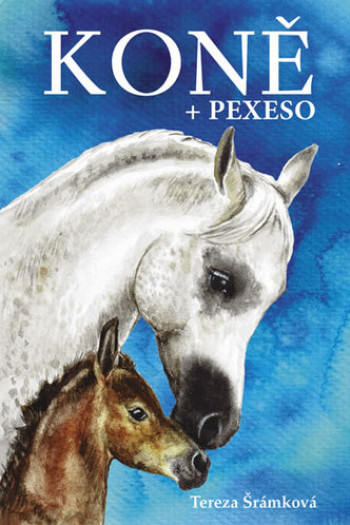 Pexeso Koně